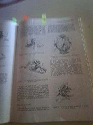 Libro Medicina legal y toxicologia Gisbert Calbuig