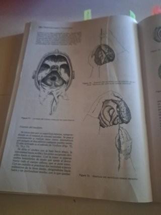 Libro Medicina legal y toxicologia Gisbert Calbuig