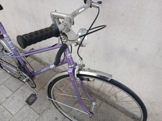 BH Gacela Vintage Morada