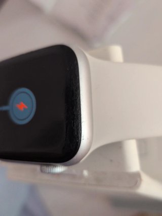 Apple Watch Plata/Blanco