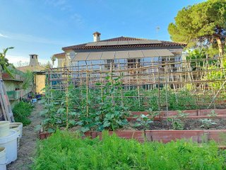 Chalet en venta en La Granja-La Colina-Los Pastores en Algeciras