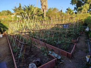 Chalet en venta en La Granja-La Colina-Los Pastores en Algeciras