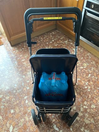 Andador Carlett Easy Shopping El Ferrari de los an