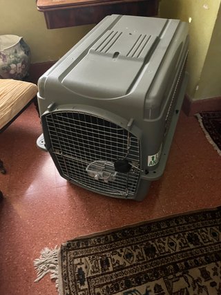 Transportín Perros IATA Gris