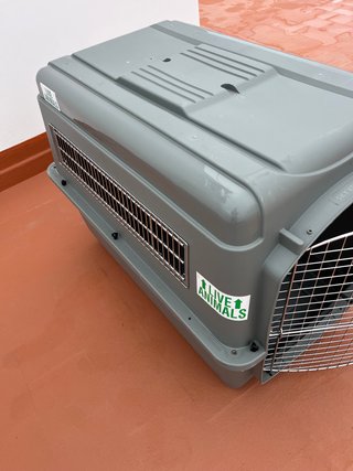 Transportín Perros IATA Gris