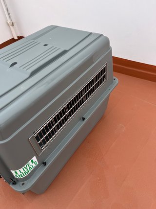 Transportín Perros IATA Gris