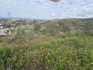 Terreno en venta en Algarrobo en Algarrobo