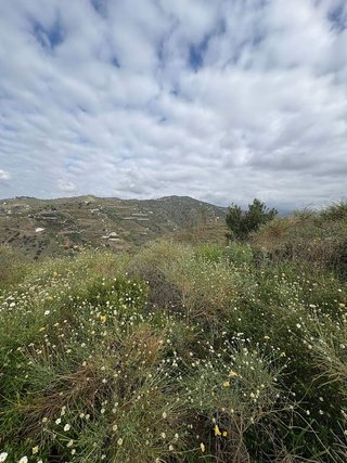 Terreno en venta en Algarrobo en Algarrobo