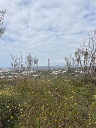 Terreno en venta en Algarrobo en Algarrobo