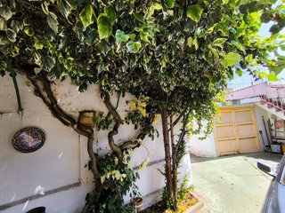 Casa pareada en venta en El Carmen - Casas del Hogar en Palencia
