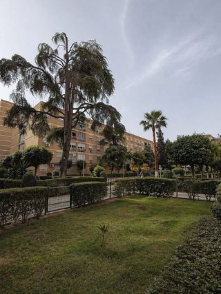 Local comercial en venta en Cruz Roja en Sevilla