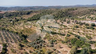 Terreno en venta en Torreblanca