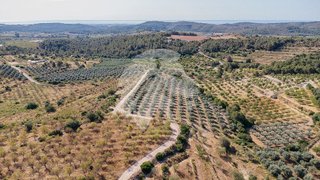 Terreno en venta en Torreblanca