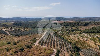 Terreno en venta en Torreblanca