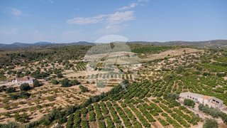 Terreno en venta en Torreblanca