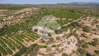 Terreno en venta en Torreblanca
