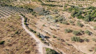 Terreno en venta en Torreblanca