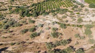 Terreno en venta en Torreblanca