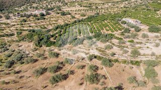 Terreno en venta en Torreblanca