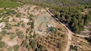 Terreno en venta en Torreblanca