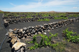 Terreno en venta en Tinajo