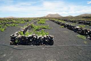 Terreno en venta en Tinajo
