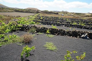 Terreno en venta en Tinajo