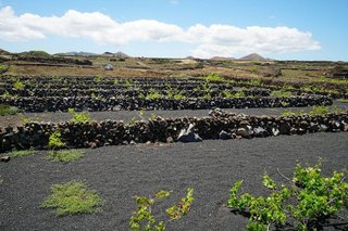 Terreno en venta en Tinajo