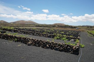 Terreno en venta en Tinajo