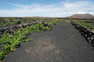 Terreno en venta en Tinajo