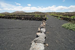 Terreno en venta en Tinajo
