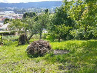 Solar en venta en Pontedeume