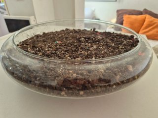 Terrario grande vidrio suculentas