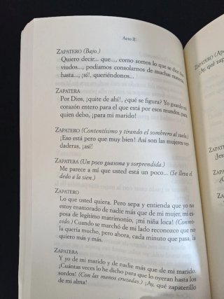 La zapatera prodigiosa