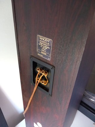 2 Altavoces Tangent
