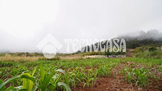 Terreno en venta en San Cristóbal de La Laguna - La Vega - San Lázaro en San Cristóbal de La Laguna