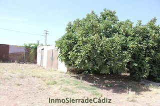 Terreno en venta en Algodonales