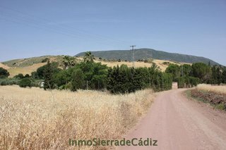 Terreno en venta en Algodonales