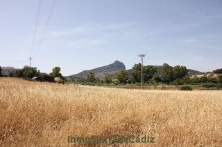 Terreno en venta en Algodonales