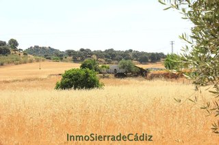 Terreno en venta en Algodonales
