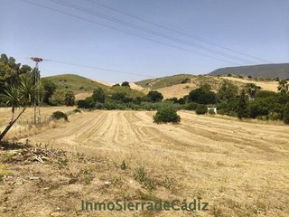 Terreno en venta en Algodonales