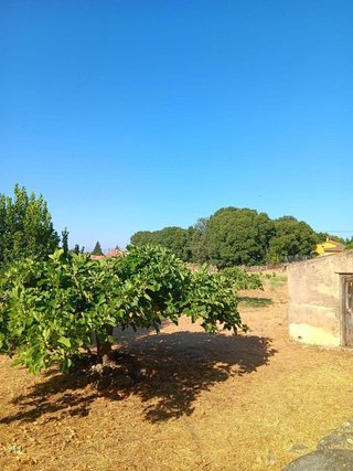 Terreno en venta en Candeleda