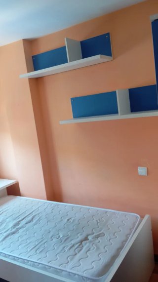 Doble cama, escrito, mueble y estantes de pared