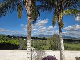 Local comercial en venta en Cártama pueblo en Cártama