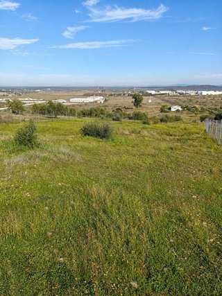 Terreno en venta en Oeste en Mérida