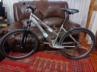 Bicicleta TOPBIKE 200 Aluminio
