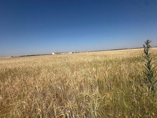 Terreno en venta en Manzanares