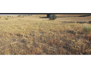 Terreno en venta en Casarrubios del Monte pueblo en Casarrubios del Monte