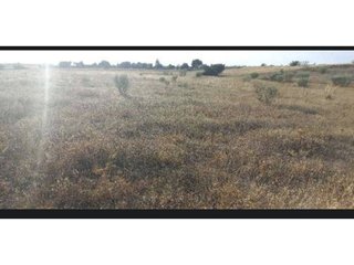 Terreno en venta en Casarrubios del Monte pueblo en Casarrubios del Monte