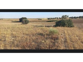 Terreno en venta en Casarrubios del Monte pueblo en Casarrubios del Monte